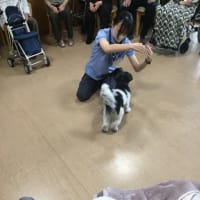 ハローアニマル🐕