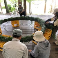 6月の日記27  茅取と茅の輪作り