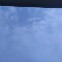 やっとお昼休み