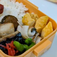 あびる１３歳お誕生日おめでとう♪と日々の献立とお弁当