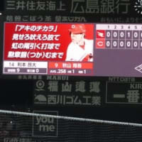 野球観戦ー楽天　２０日