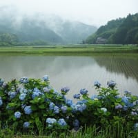 延岡ふるさと里山のチカラ再発見写真館NO 3501