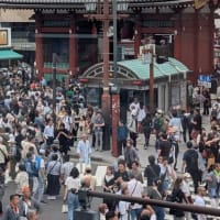 2025.5.18　三社祭最終日・神輿の町内渡御