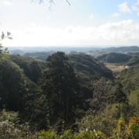 高天神城