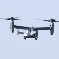 米海兵隊 「 MV-22B オスプレイ 」 ( VMM-265 / EP00 168243 米海兵隊 「 MV-22B オスプレイ 」 ( VMM-265 / EP00 168243