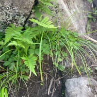 山頂で伝えましょう♡