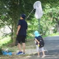 石手川緑地公園を散歩