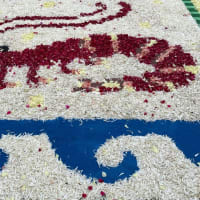 FLOWER  CARPET  2025
