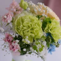 ●我が家の５月の花（14）　母の日の花束(グリーンのカーネーション、バラ、カスミソウ、スターチス、アスチルベ、デルフィニウム)　アヤメ