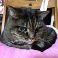 気付いてなかった