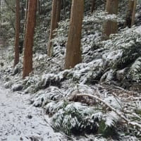 豊川市の雪は