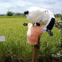 袖ケ浦市・ひらおかの里農村公園のかかし