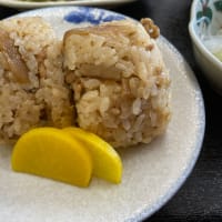 吉野鶏めし食堂（大分市吉野）