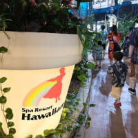 東北のハワイ🌺福島いわきでプロのフラダンスショーを鑑賞