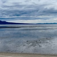 ラムサール湿地登録荒尾海岸の夏雲・・・2025年7月
