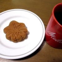 ドローンにてＮ谷上空を