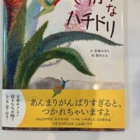 安東みきえさん、新刊『せっかちなハチドリ』