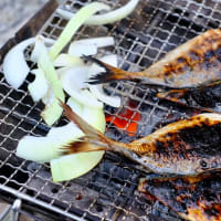 キャンプ飯は炭火で豪快に-三重県紀北町：「キャンプ inn 海山」