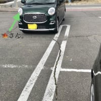 もみじさんの現状