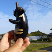 ナスで遊ぶ