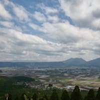はるたび_2023-まとめ