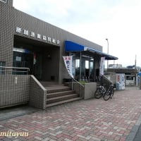 朝市が有名な鎌倉「腰越漁港」を訪ねて！！