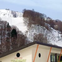 残雪が多過ぎて…
