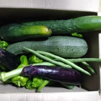 田舎の従姉妹から野菜が届いた❣️　2025/07/05