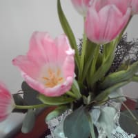 春　花　チューリップ