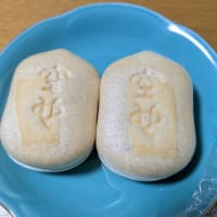 空也もなかと小ざさ羊羹・もなか
