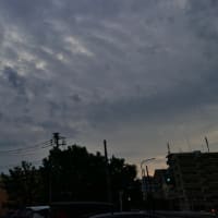 とにかく消費税廃止して欲しい