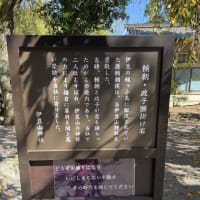 新入り猫「ルナちゃん」と伊豆山神社