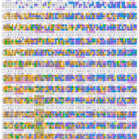 `２５０６０５：結果