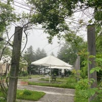 雲上のホテルに泊まりました