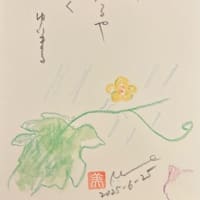 雨のち晴れ