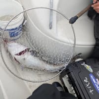 今シーズン最初の船釣り