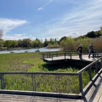 昭和記念公園