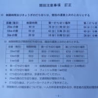 第36回高島平・日刊スポーツ・ロードレース