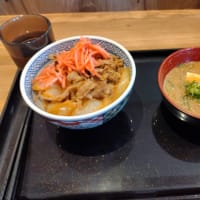 暑い日の昼食もやっぱりここが好き!　吉野家。