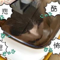 定期検査