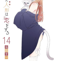 その着せ替え人形は恋をする 第14巻