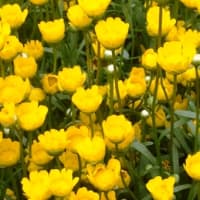 介護現場の憂鬱　　私は祥一郎を一人にはしない。