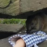 個人面談