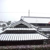 １月２４日（火）