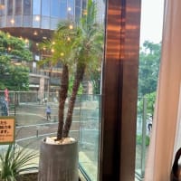 宝塚〜念願の香港点心