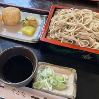 もり蕎麦とおにぎり