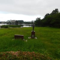 『朝散歩 7/13。』
