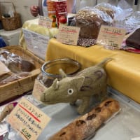 ありがとうカミノイチ