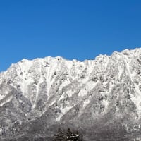 2024年１２月３１日