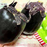 三豊ナスを頂いて